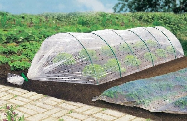 Folie perforata pentru solar 2X5M